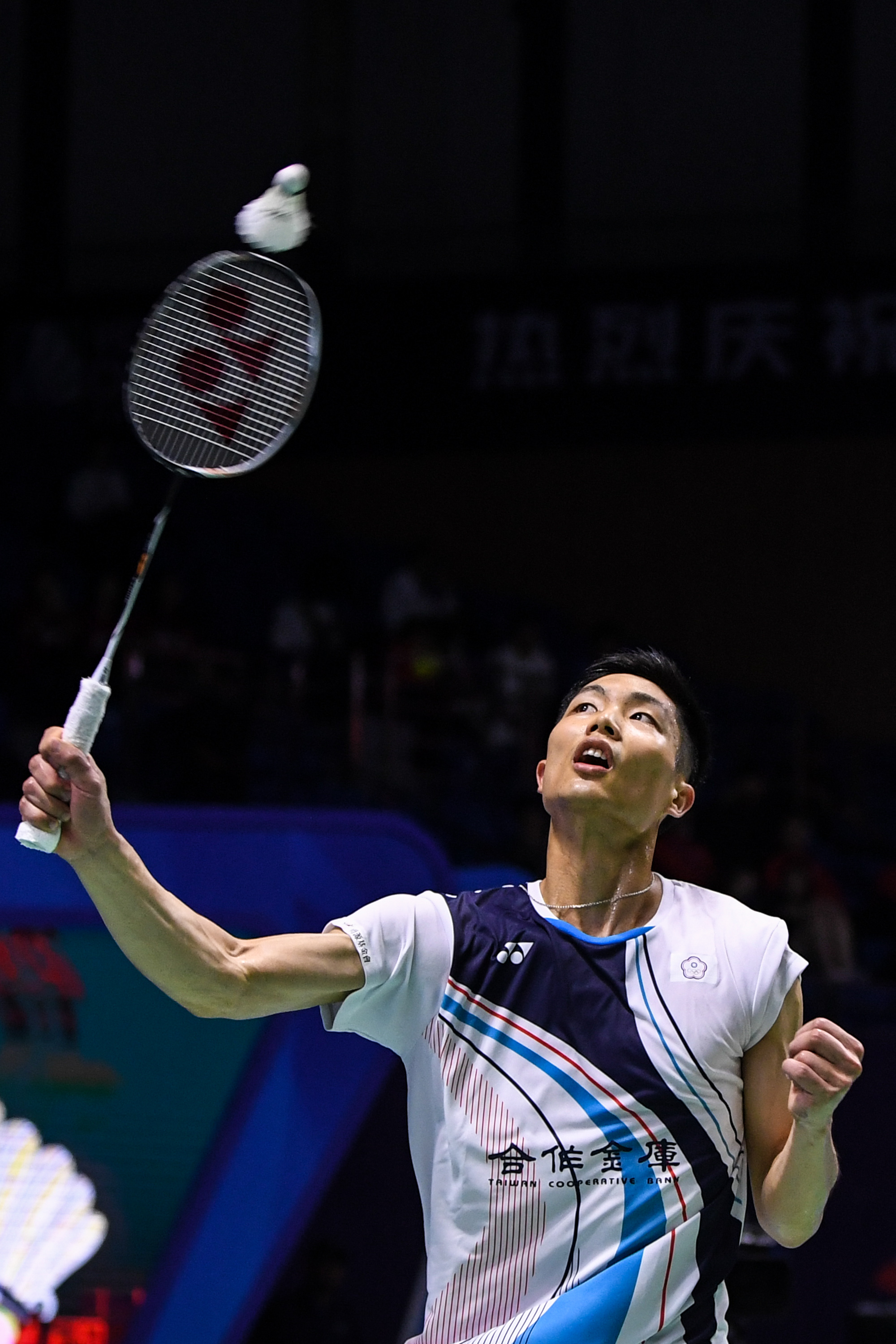 球队的整体 球队的整体